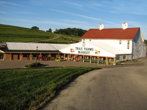 A large white building with a red roof, labeled "Trax Farms Market," surrounded by green fields and a clear blue sky.