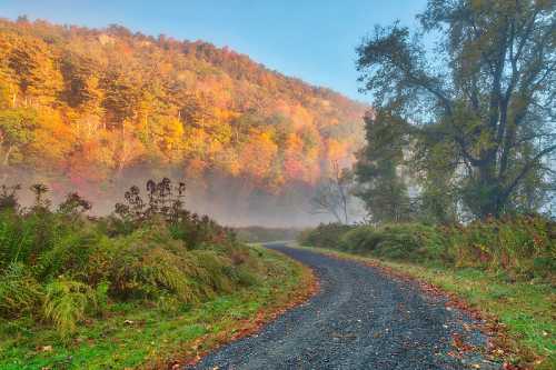 A winding gravel path through a misty landscape with vibrant autumn foliage on the hills.