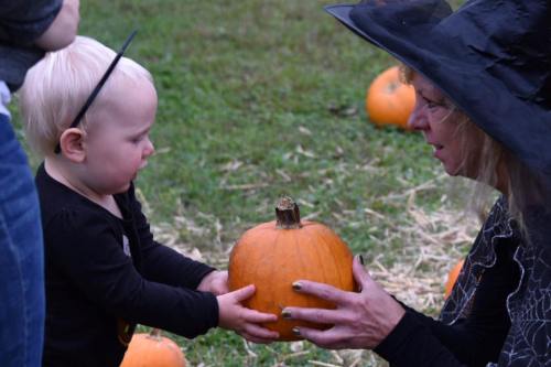 A child in a black outfit holds a pumpkin while a woman in a witch's hat guides her in a pumpkin patch.