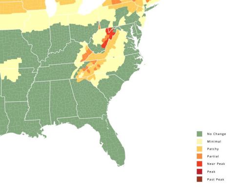 Map showing foliage color change across the eastern U.S., with regions marked from "No Change" to "Past Peak."