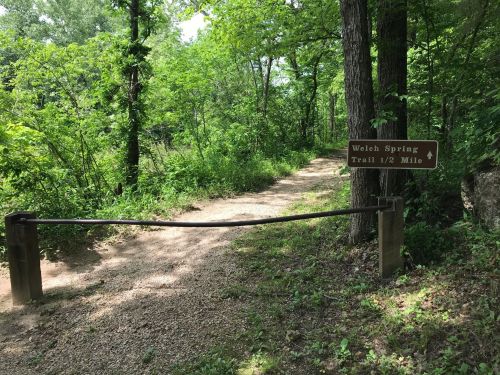 A trail sign for Welch Spring Trail, indicating a half-mile path, surrounded by lush greenery and trees.
