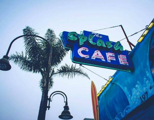 Neon sign for "The Splash Café" with palm trees and surfboards in the background under a cloudy sky.