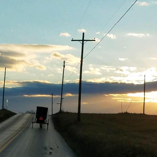 A rural road with a horse-drawn buggy traveling towards a sunset, surrounded by open fields and power lines.