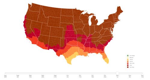 Map of the U.S. showing temperature changes from August to November, with color gradients indicating varying heat levels.