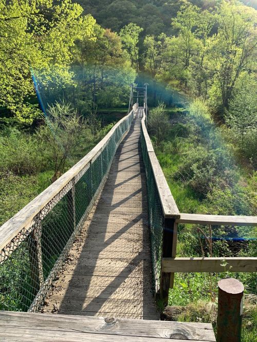 A wooden bridge stretches over lush greenery, leading into a sunlit forest.