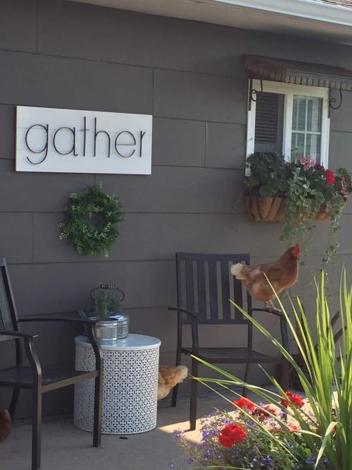 A cozy outdoor space with chairs, a small table, a "gather" sign, and a chicken near flower pots and greenery.