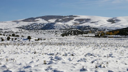 A snowy landscape with rolling hills and a clear blue sky, showcasing a serene winter scene.