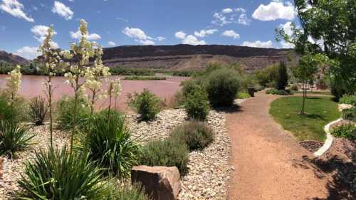 A scenic pathway lined with plants leads to a river, surrounded by mountains and a blue sky with fluffy clouds.