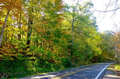 A winding road lined with vibrant autumn trees in shades of green, yellow, and orange under a clear blue sky.