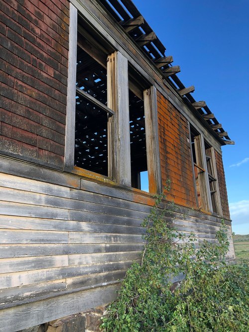 Abandoned building with broken windows and peeling paint, surrounded by overgrown vegetation under a clear blue sky.