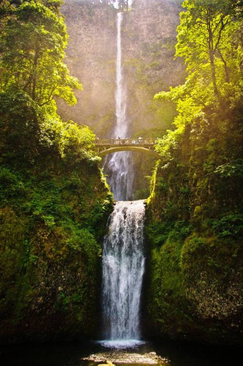 A stunning waterfall cascades down rocky cliffs, surrounded by lush greenery and a bridge above.