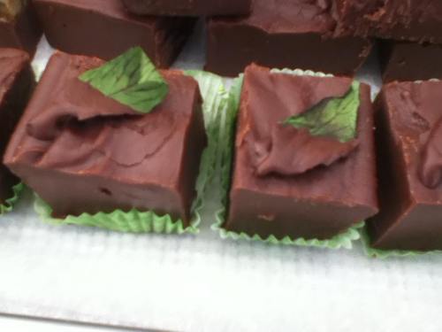 Close-up of chocolate fudge squares topped with mint leaves, arranged on a tray with green paper liners.