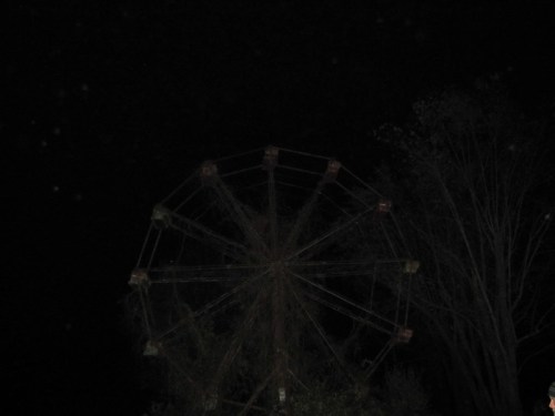 A dark image of a rusted ferris wheel silhouetted against a night sky, surrounded by bare trees.