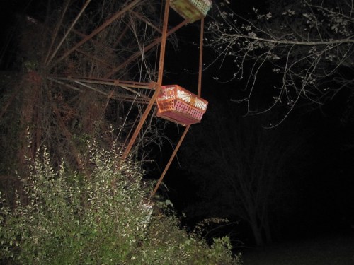 A rusted Ferris wheel at night, partially obscured by overgrown plants and trees in the background.