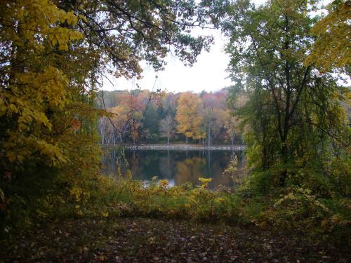 A serene view of a lake framed by colorful autumn trees and foliage.