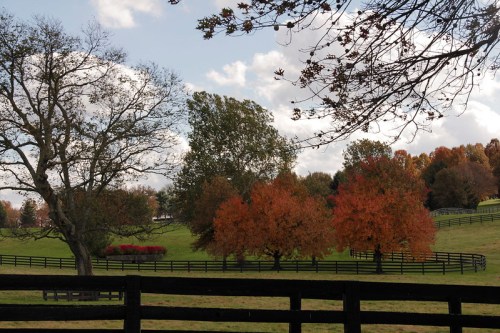A scenic landscape featuring trees with autumn foliage, a wooden fence, and a cloudy sky.