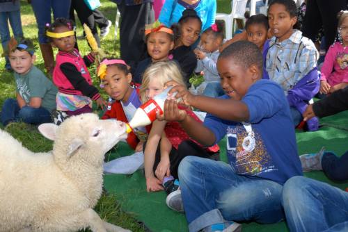 A child feeds a lamb while a group of children watches, sitting on the grass in a lively outdoor setting.