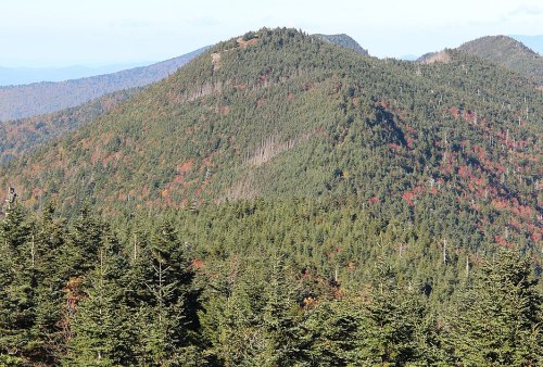 A scenic view of a mountainous landscape covered in dense green trees, with hints of autumn colors on the slopes.
