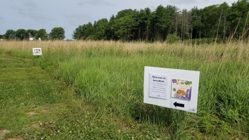 Two signs along a grassy path, welcoming visitors to a nature area with trees in the background.