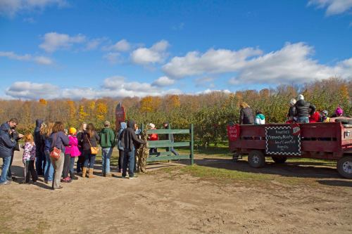A group of people waiting in line near a wagon in an orchard with colorful autumn trees under a blue sky.