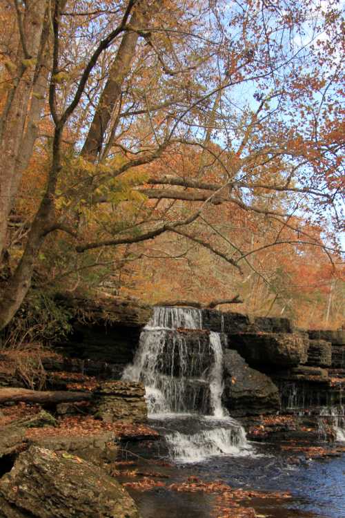 A serene waterfall cascades over rocks, surrounded by autumn foliage and trees under a clear blue sky.