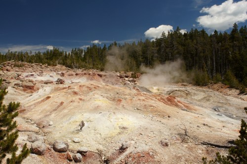A geothermal area with colorful, mineral-rich soil and steam rising, surrounded by a forest under a blue sky.
