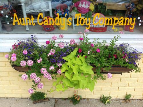 Colorful flowers in a window box beneath a sign that reads "Aunt Candy's Toy Company."