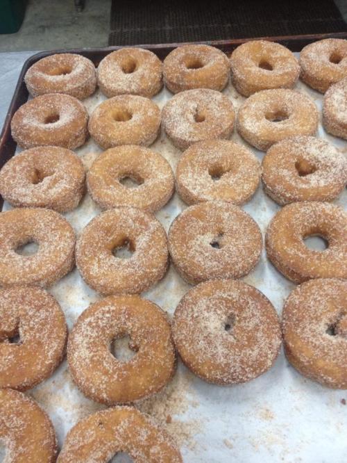 A tray of freshly baked, cinnamon-sugar coated donuts arranged in neat rows.