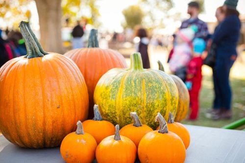 A variety of pumpkins, including large orange and green ones, are displayed on a table with people in the background.