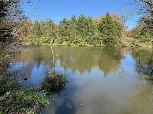 A serene pond surrounded by trees, reflecting the clear blue sky and autumn foliage.