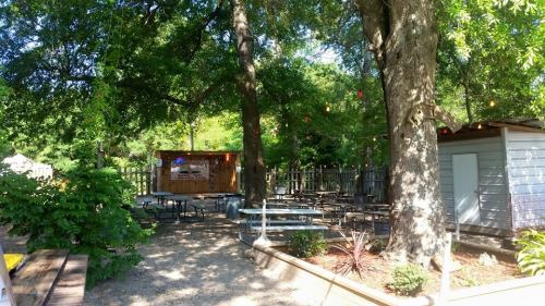 Outdoor dining area with picnic tables under large trees, featuring a bar and string lights in a relaxed setting.