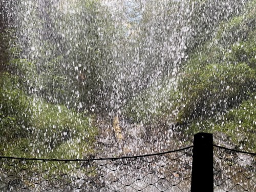 A view through a waterfall, with water cascading down and lush greenery in the background. A fence is visible in the foreground.
