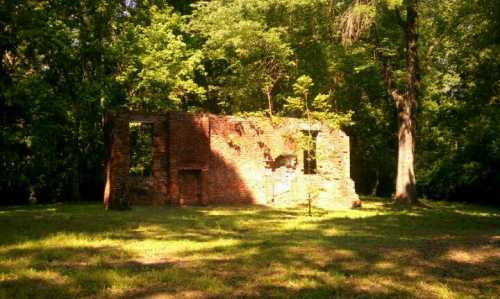 Ruins of a brick structure surrounded by lush green trees and grass in a forested area.