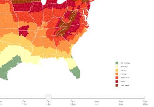 Map showing fall foliage progression in the southeastern U.S. from October to November, with color-coded leaf change stages.