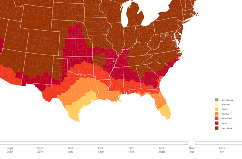 Map showing the progression of fall foliage in the U.S. from September to November, with color-coded regions for peak times.