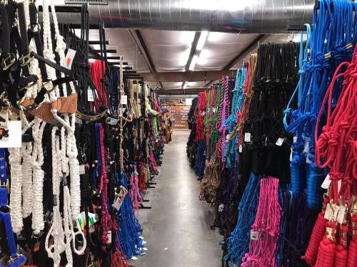 A wide aisle in a store filled with colorful horse halters and leads hanging on racks.