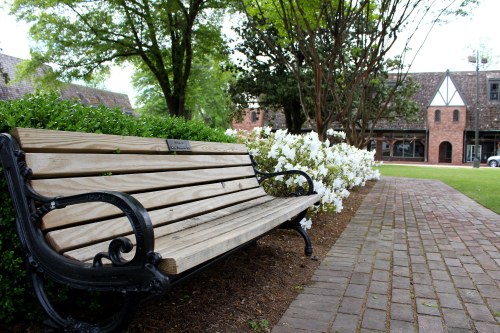 A wooden bench with black metal arms sits beside blooming white azaleas in a landscaped area.