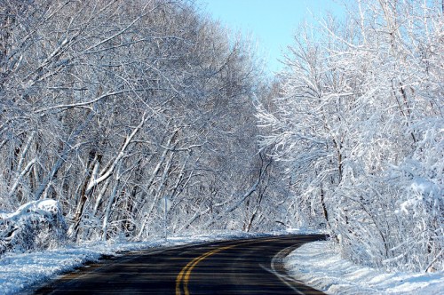 A winding road surrounded by trees covered in fresh, white snow under a clear blue sky.