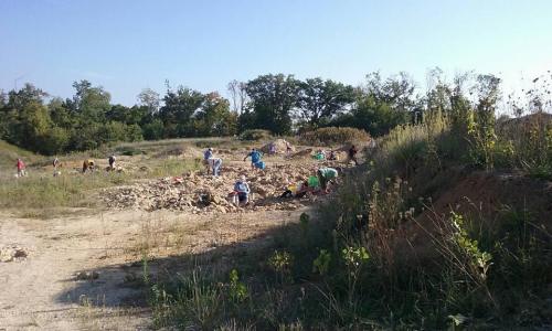People digging and searching in a rocky area surrounded by trees and grass on a sunny day.
