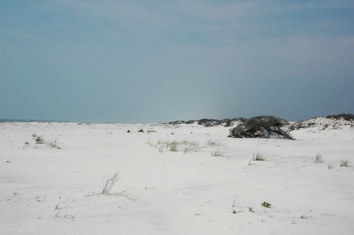 A serene beach landscape with white sand, sparse vegetation, and a calm sky in the background.