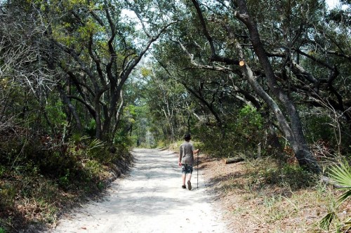 A person walking on a sandy path surrounded by trees and greenery.