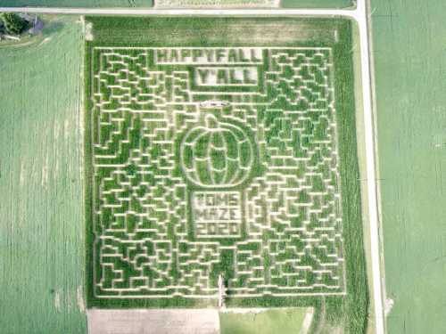 Aerial view of a corn maze featuring a pumpkin design and the text "Happy Fall Y'all" carved into the crops.