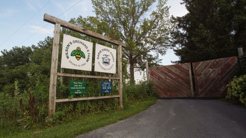 Sign at the entrance of Wilson's Orchard, featuring logos and information about the orchard and its offerings.