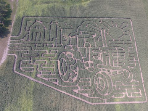 Aerial view of a corn maze designed in the shape of a tractor and farm scene, surrounded by green fields.