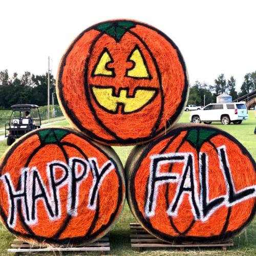Three hay bales painted like pumpkins with "HAPPY FALL" written on them, set in a grassy field.