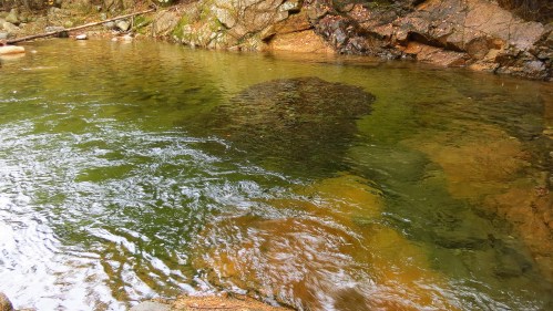 A serene natural pool surrounded by rocky terrain and lush greenery, with gentle ripples on the water's surface.