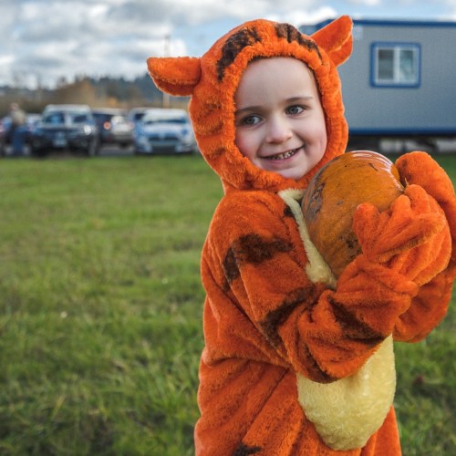 A child in a tiger costume smiles while holding a pumpkin outdoors, with cars and trees in the background.