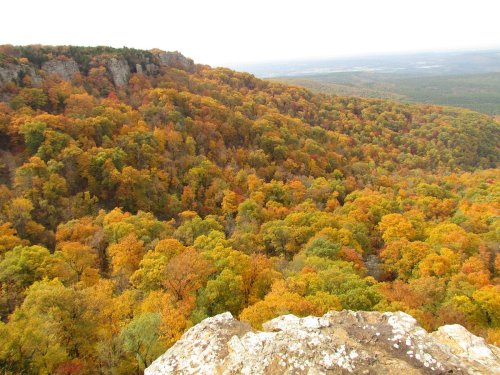 A panoramic view of a vibrant autumn forest with colorful orange and yellow foliage on a hillside.