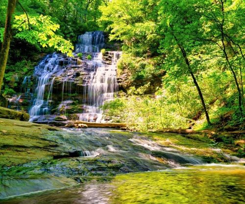 A serene waterfall cascades over rocks, surrounded by lush green trees and vibrant foliage.