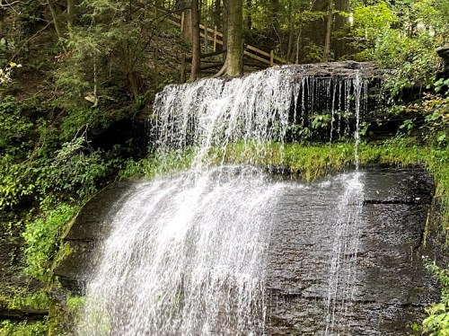A serene waterfall cascading over a rocky ledge, surrounded by lush greenery and trees.